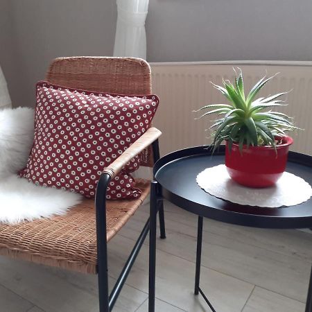 Appartement Haus Muehlenbach à Mechernich Extérieur photo