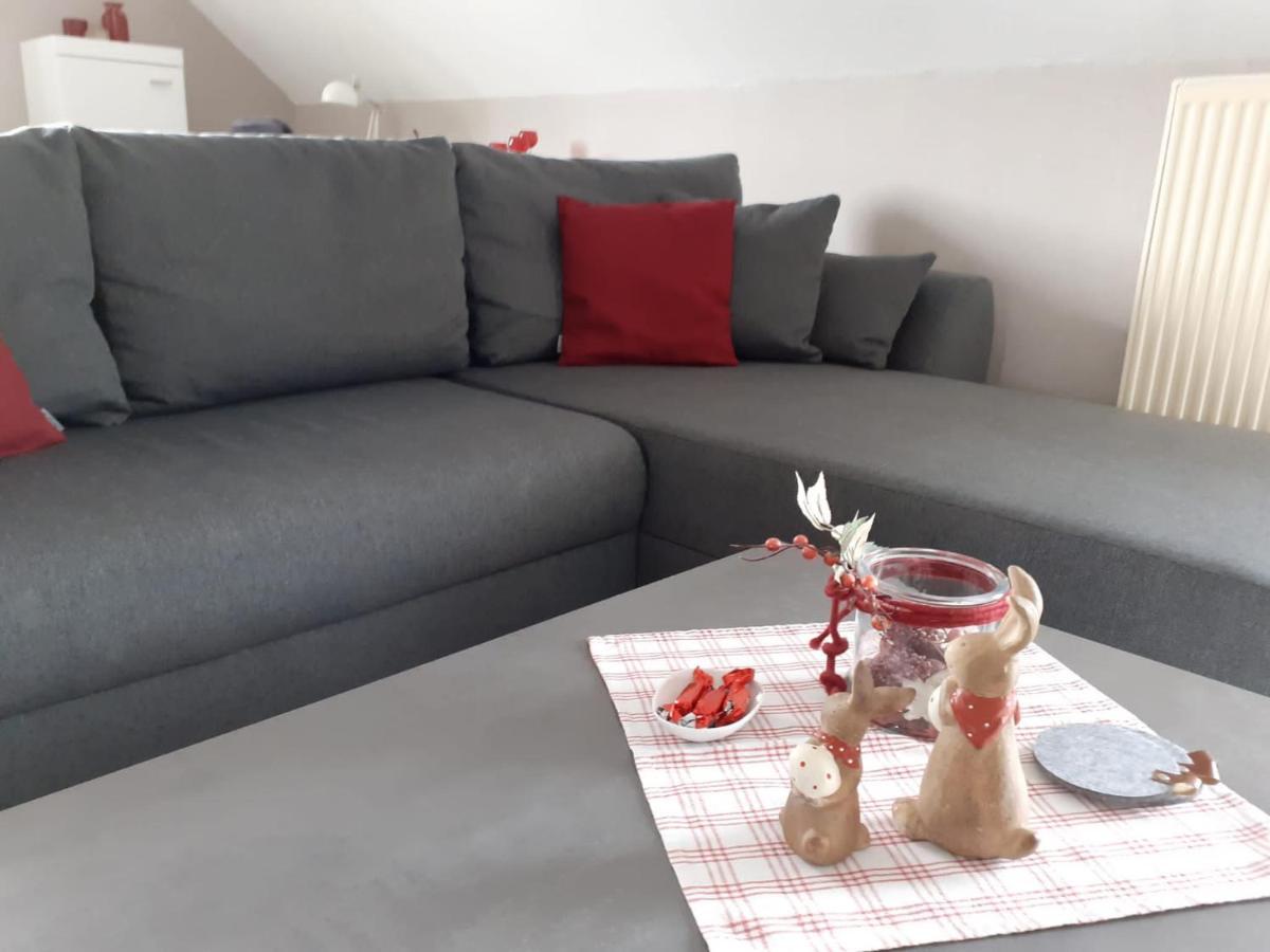 Appartement Haus Muehlenbach à Mechernich Extérieur photo